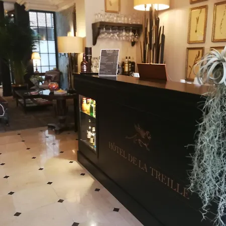 Hotel De La Treille Lila