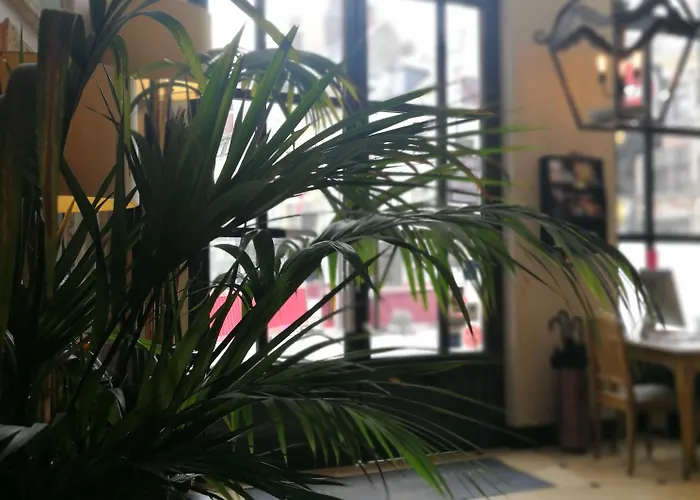 De La Treille 3* Lilla