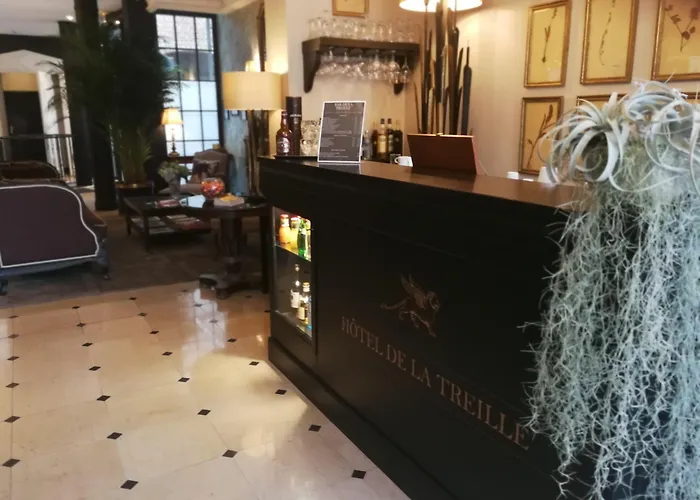 Hotel De La Treille Lilla