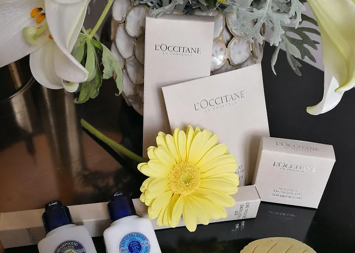 De La Treille מלון 3*